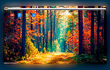 Autumn forest nature 2560x1440 small promo image