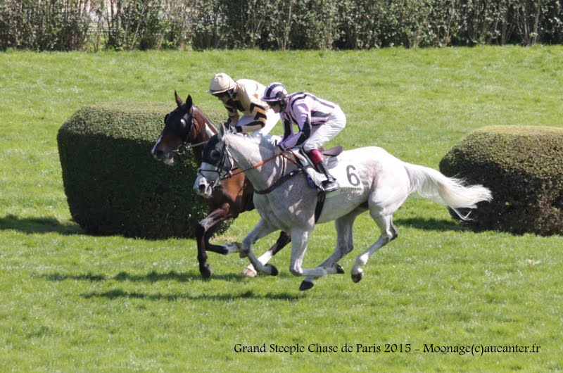 Photos Auteuil 17-05-2015 Journée du Grand Steeple PJS3ocEpOtF571g3SEe3KzdgqcigwEgij8uNomUYzc5H=w800-h530-no