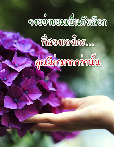 คำคมอกหัก มาใหม่ล่าสุด