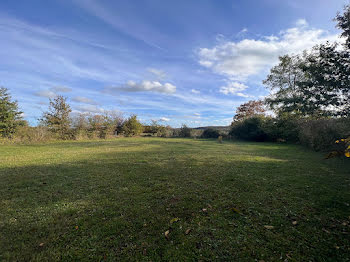 terrain à Saint-Amand-en-Puisaye (58)