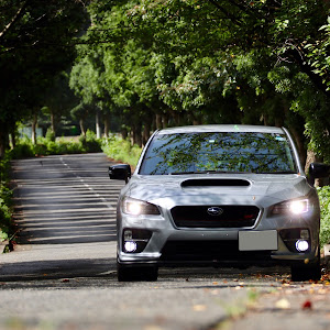 WRX STI