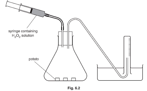 Investigating the progress of an enzyme-catalysed reaction