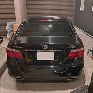 LS UVF45