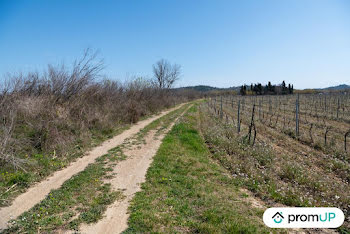 terrain à Peyriac-de-Mer (11)