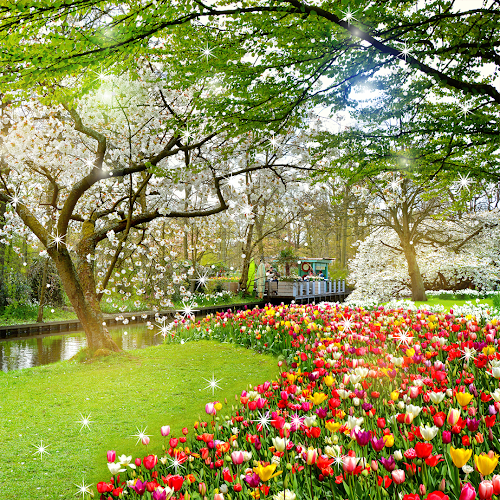 Beautiful Garden Wallpaper - Latest version for Android - Download APK