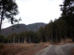 分岐を右へ（奥山北方面）