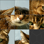 Cat Image Slide Puzzle