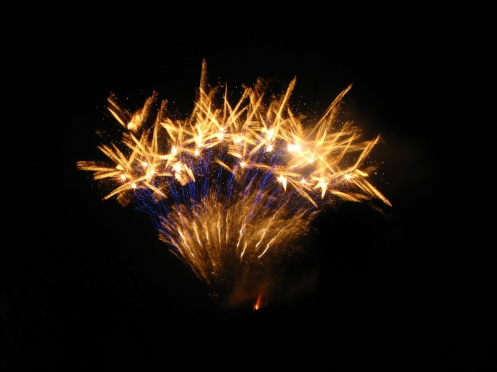 Fiori di Fuoco di AleBaraz