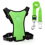 Green Set