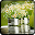 Flower Arrangement Download on Windows