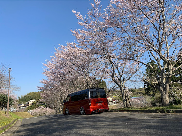 の投稿画像2枚目