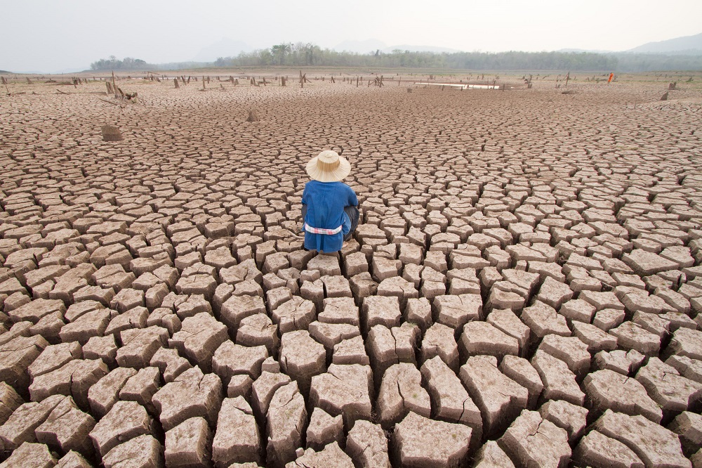 No quick fix in fight against global warming, says new study - Business Day