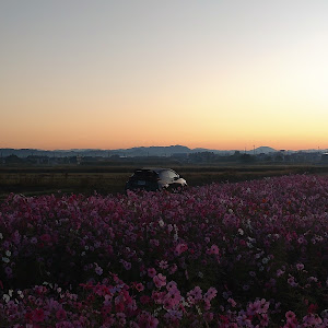 GRヤリス MXPA12