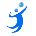 VolleyPlay icon