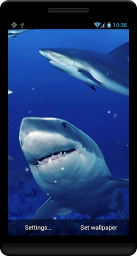 Shark Live Wallpaper