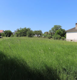 maison neuve à Chatillon-sur-loire (45)