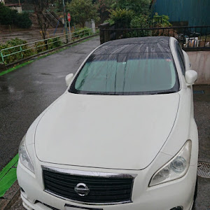 フーガ Y51型
