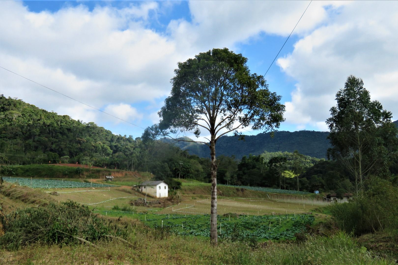 Fazenda / Sítio à venda em Stucky, Nova Friburgo - RJ - Foto 15