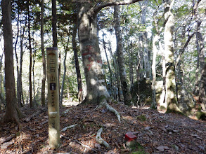 三石山標識（山頂ではない…）