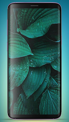 Teal Color Wallpaper HD