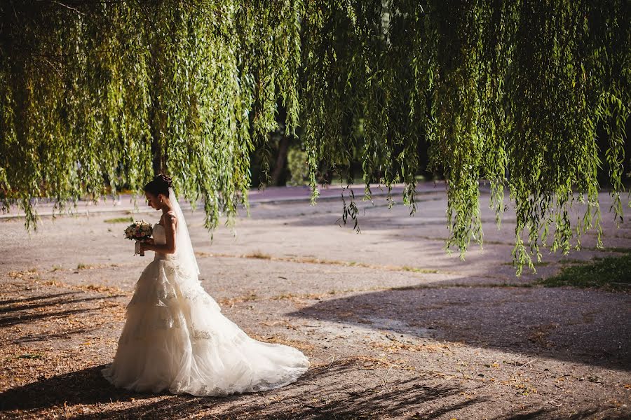 Photographe de mariage Roman Gavrilov (borgus). Photo du 27 janvier 2016