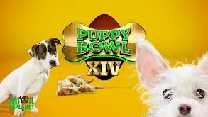 Puppy Bowl XIV thumbnail