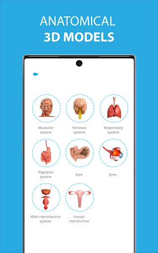 Screenshot Human Anatomy Learning - 3D