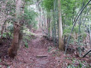 ここから登りに