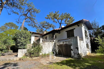 maison à Lege-cap-ferret (33)