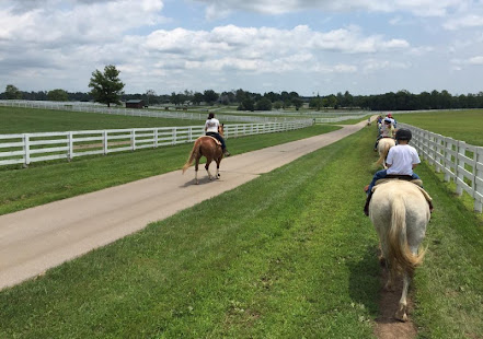 Lexington Horse Park Wallpaper(圖4)-速報App