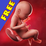 Cover Image of Скачать Pregnancy apps. Week by week 9.00007 APK