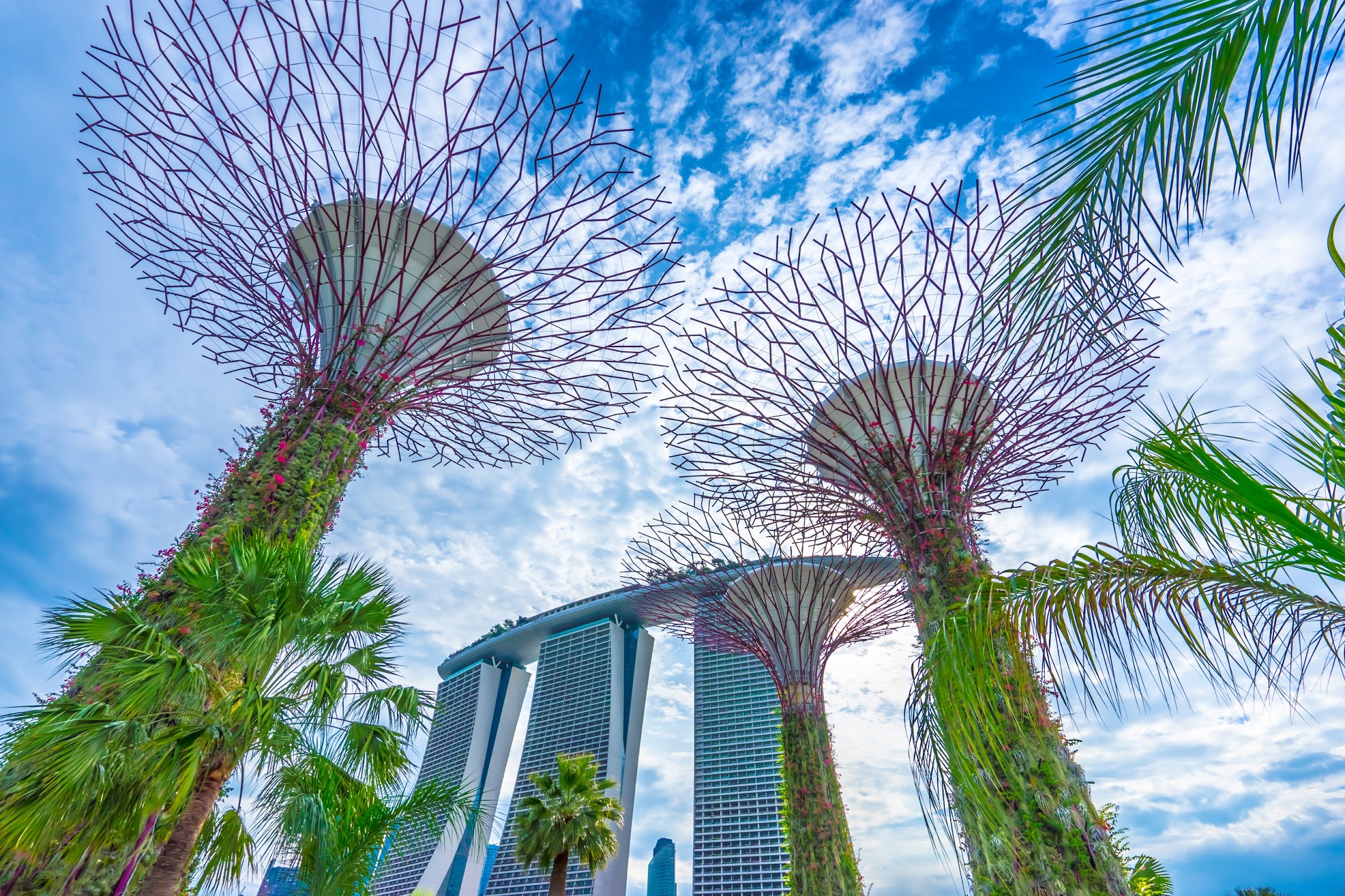 Gardens by the Bay Silver Garden2