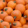 Pumpkins New Tab Halloween Theme