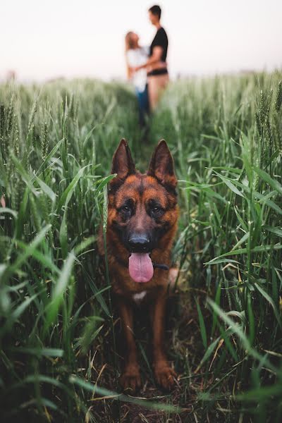 Svatební fotograf Gino Zenclusen (ginozenclusen). Fotografie z 27.září 2019