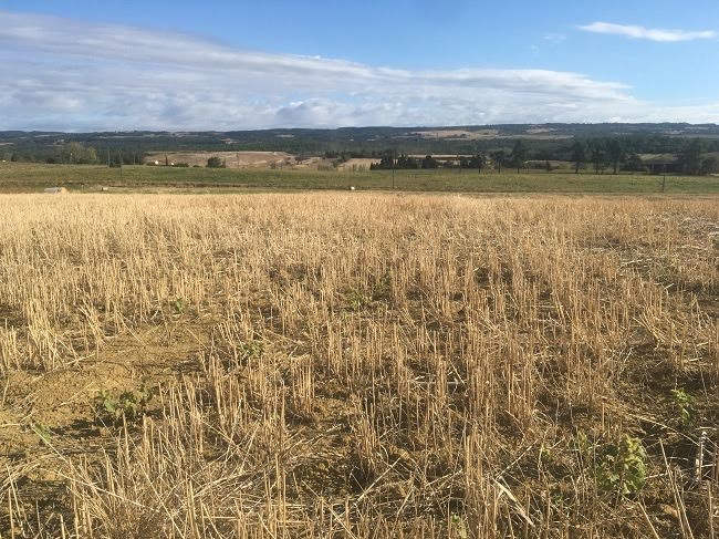 Vente terrain  344 m² à Castelnaudary (11400), 49 000 €