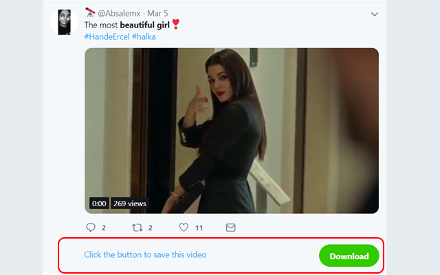 Twitter Video Downloader | Fast and Free Preview image 3