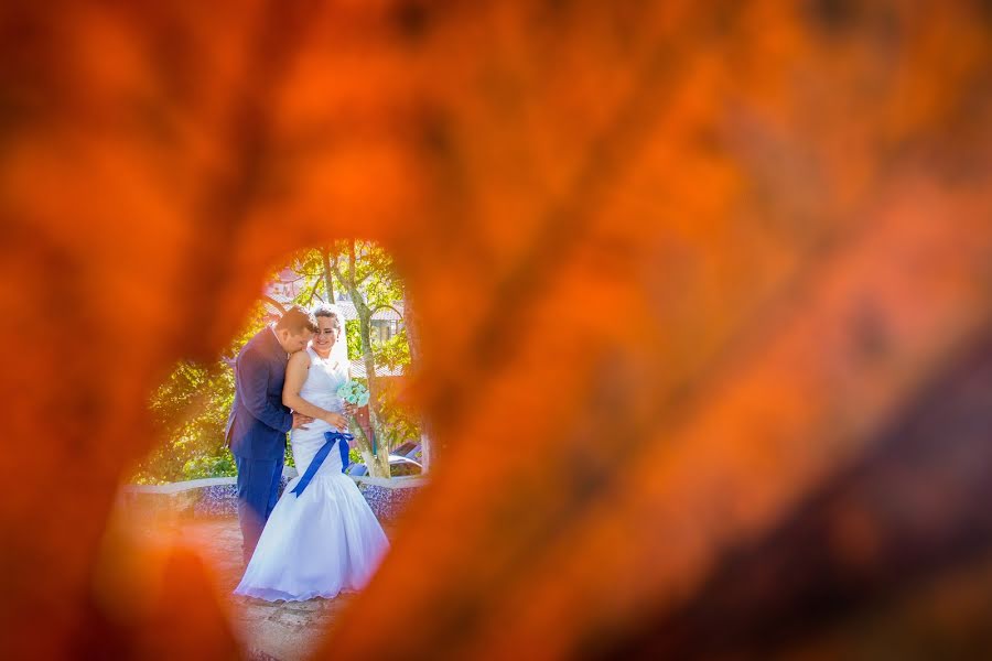 Fotógrafo de casamento Abi De Carlo (abidecarlo). Foto de 17 de agosto 2018