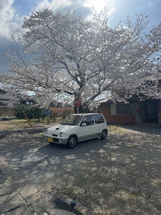 アルトワークスのサクラと愛車・発心公園・百年公園・調音の滝・久しぶりにドライブに関するカスタム事例の投稿画像2枚目