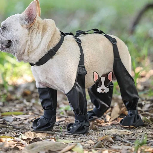 Breathable Pet Shoes Adjustable Waterproof Dog Shoes Non-Slip Paw Protector with Fastener Tape Pet Supplies