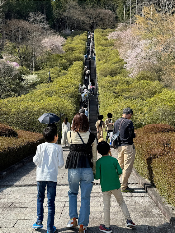 の投稿画像5枚目