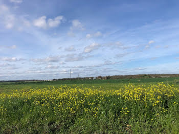 terrain à Bourgneuf (17)