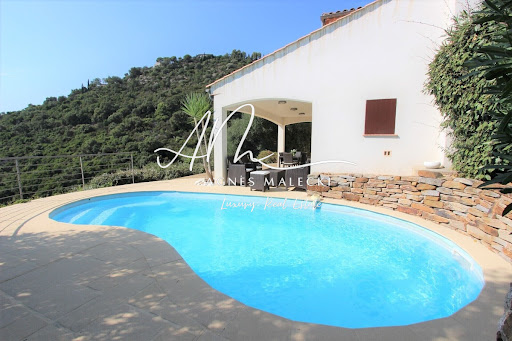 Villa avec piscine et jardin 3