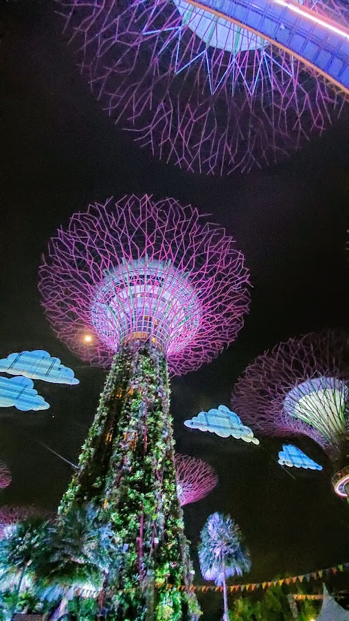 Guide to visiting Gardens by the Bay in Singapore: Supertree Grove in the evening