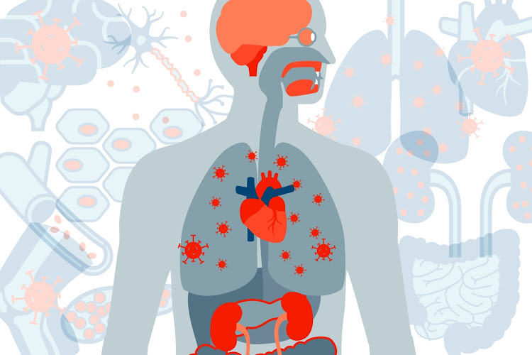 A new study from Washington University School of Medicine in St Louis shows that even mild cases of Covid-19 increase the risk of death in the six months following diagnosis.