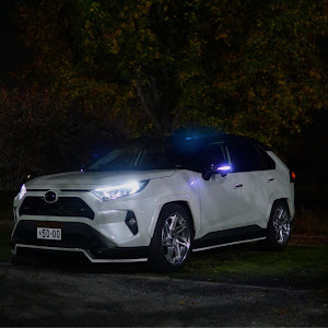 RAV4 MXAA54