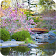 Garden Wallpaper icon