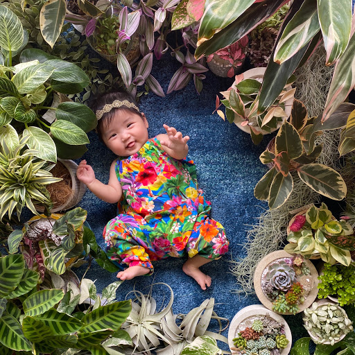 植物屋のプロフィール画像