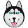 Husky Wallpaper Huskies New Tab freeaddon.com