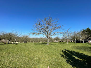 terrain à Condé-sur-Vire (50)