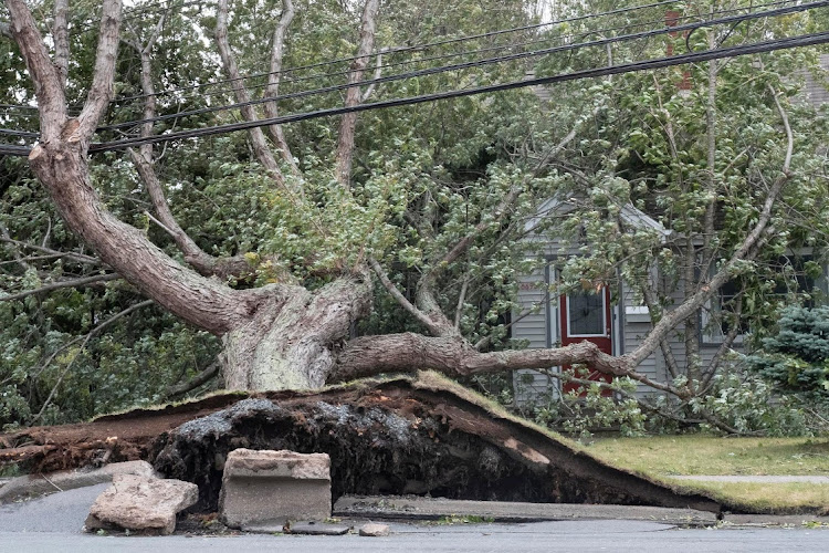 A fallen tree lies on a house following the passing of Hurricane Fiona, later downgraded to a post-tropical storm, in Halifax, Nova Scotia, Canada September 24, 2022.